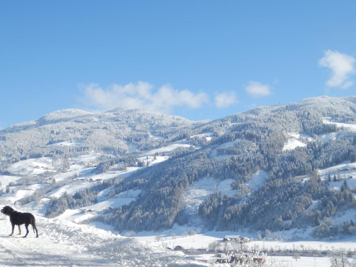 Ferienwohnung Gollehenhof St. Johann im Pongau Exterior foto